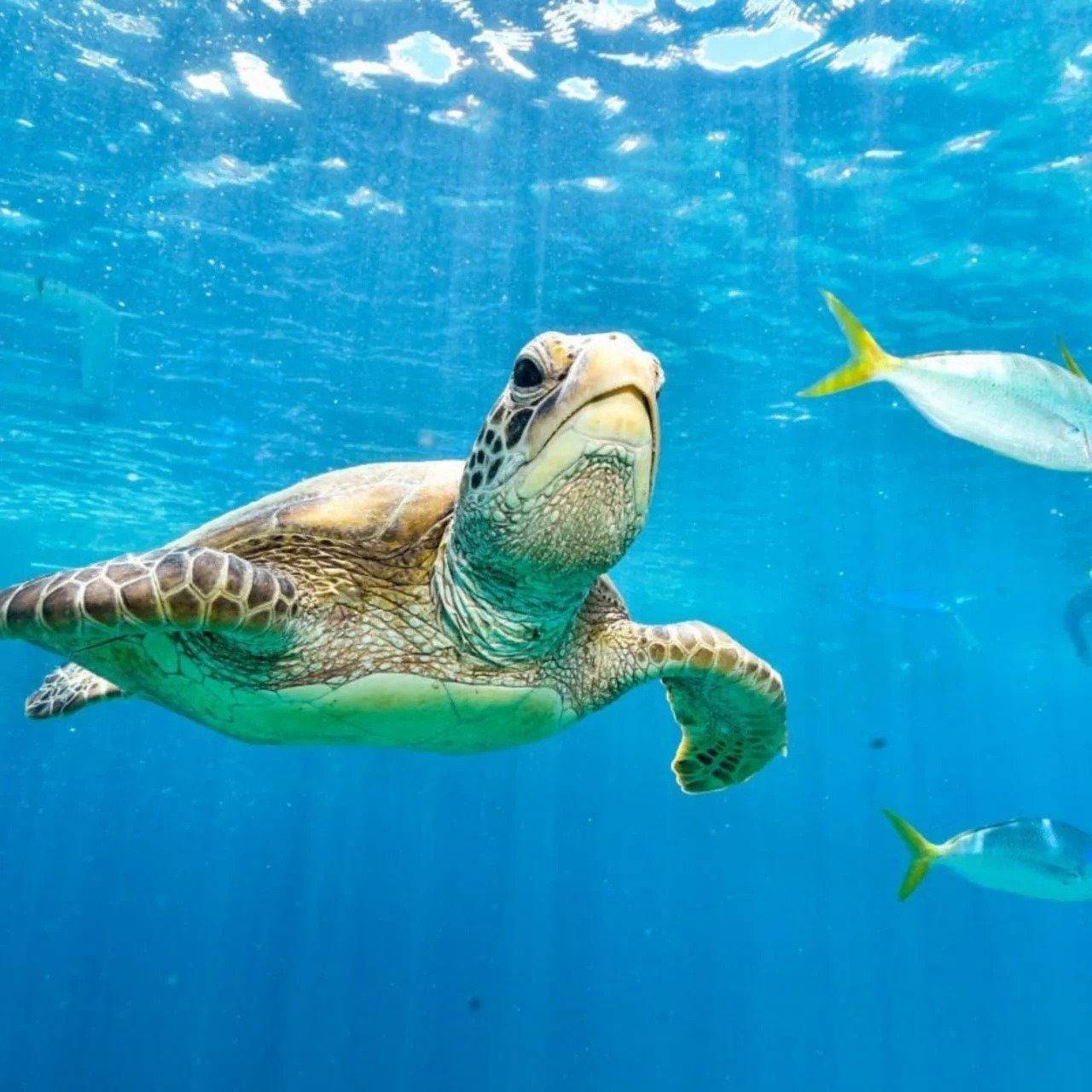 imgi_14_IMG_20250909_193739_810