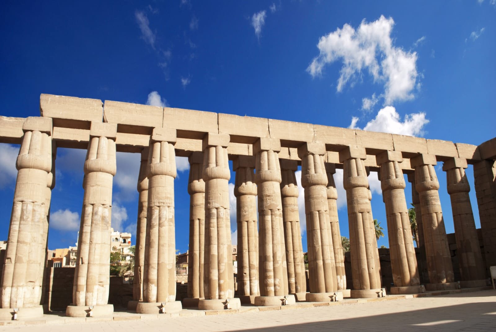 WhatsApp Image 2025-12-03 at 17.16.12_e921c982